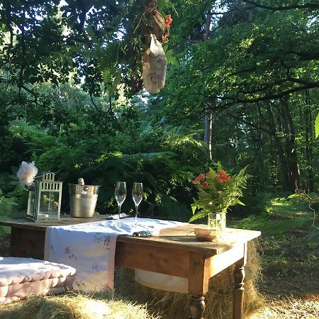 Domaine Du Vertbois La Haye-du-Theil Екстериор снимка