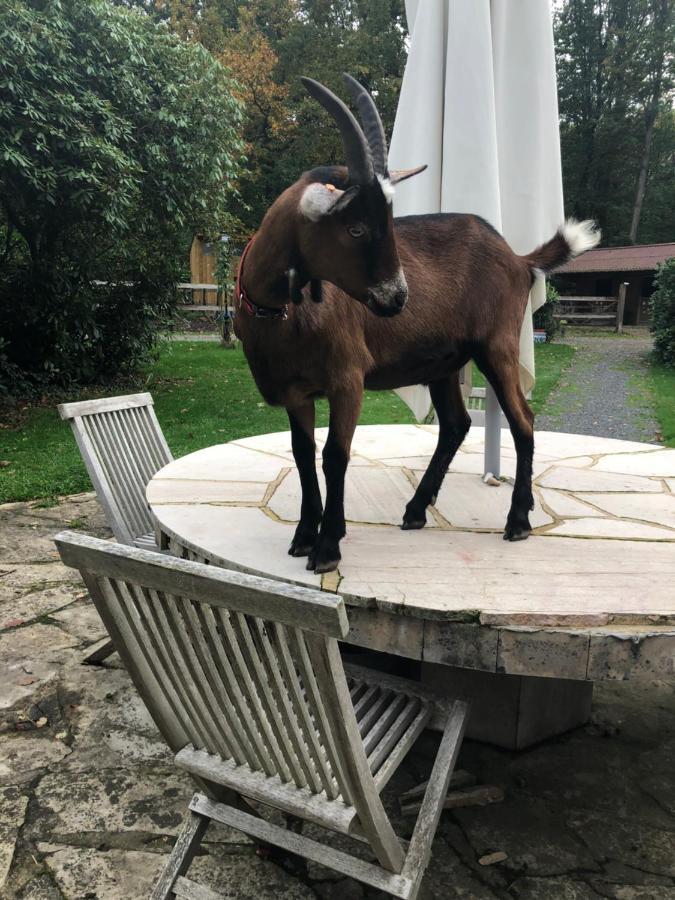 Domaine Du Vertbois La Haye-du-Theil Екстериор снимка